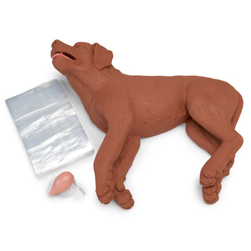 DOG CPR 강아지 심폐소생술 개모형 (100-5000)