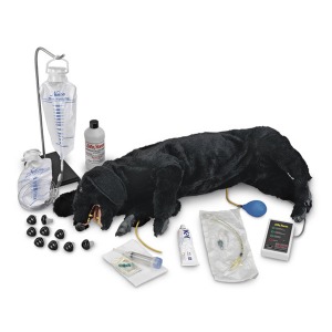 DOG CPR 심폐소생술 마네킨 (LF01155)